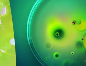 3ème année - Bachelor en Biotechnologie Sup'Biotech Paris