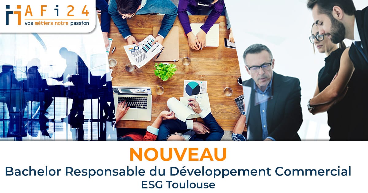 BAC+3 responsable développement commercial alternance
