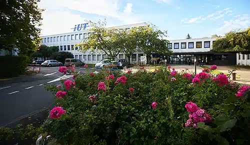 Découvrez les formation en alternance à l'université Paris Saclay - IUT d'Orsay