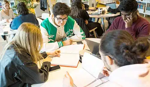 Etudiant en train de réviser à la bibliothèque de Sorbonne université
