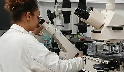 Alternante en sciences travaillant sur microscope dans les labos de l'ETSL