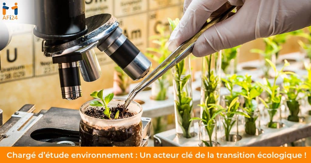 Chargé d’étude environnement en apprentissage avec AFi24